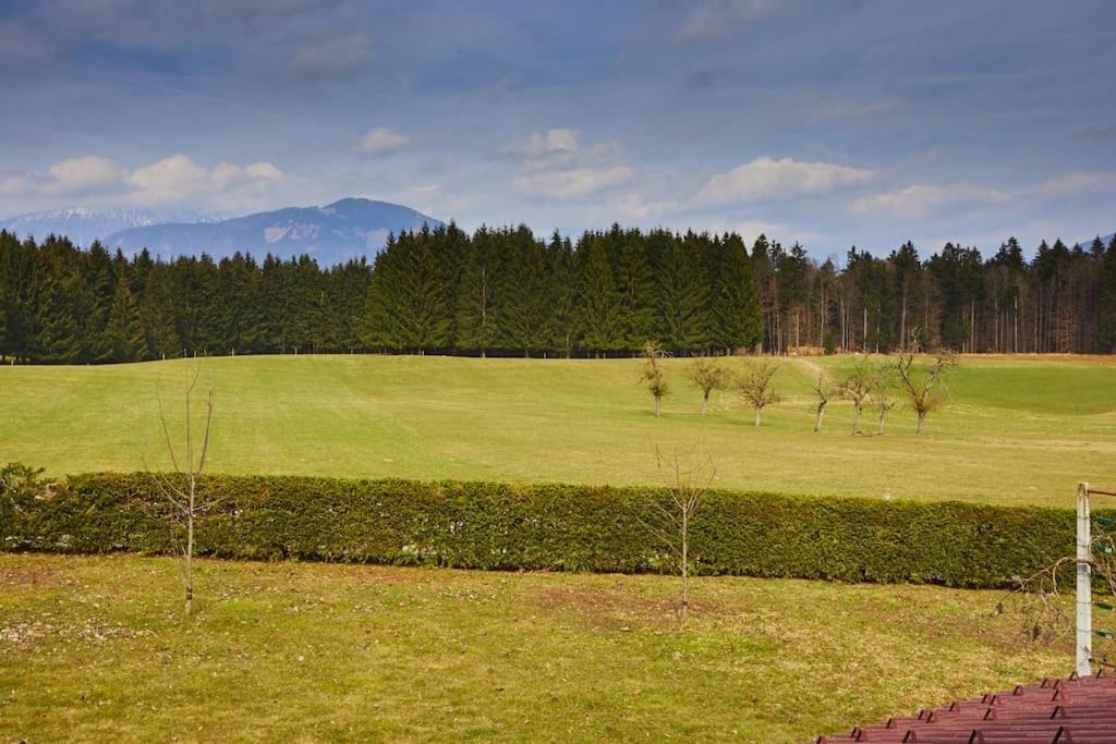 Countryside House Near Bled Apartment Podnart Luaran gambar